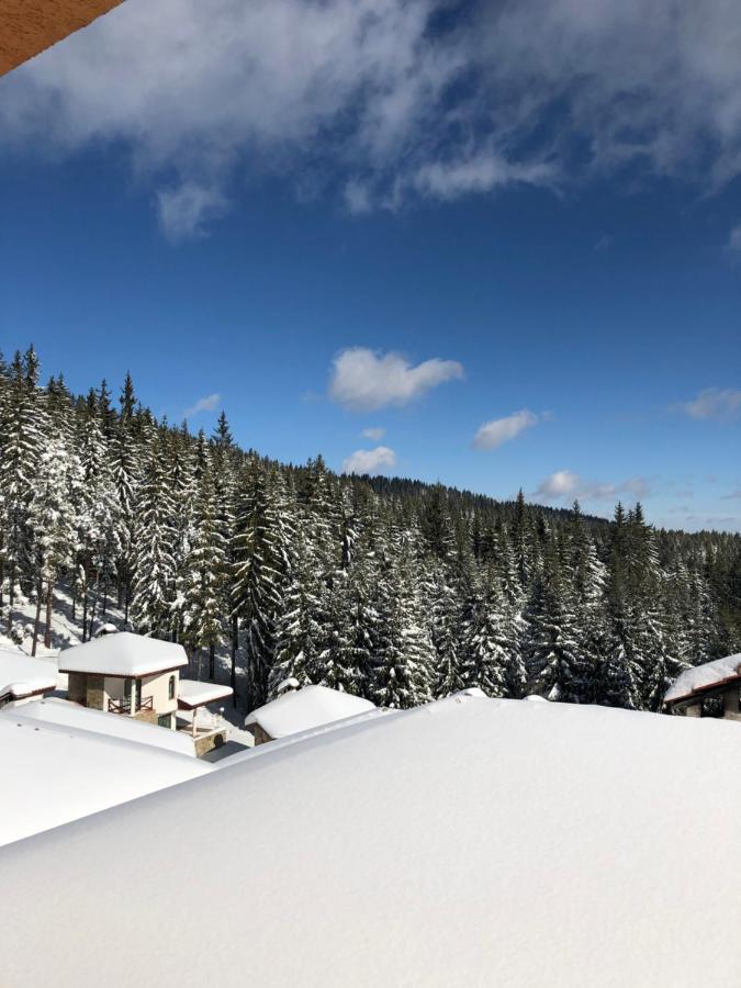 Pamporovo Villa Dış mekan fotoğraf
