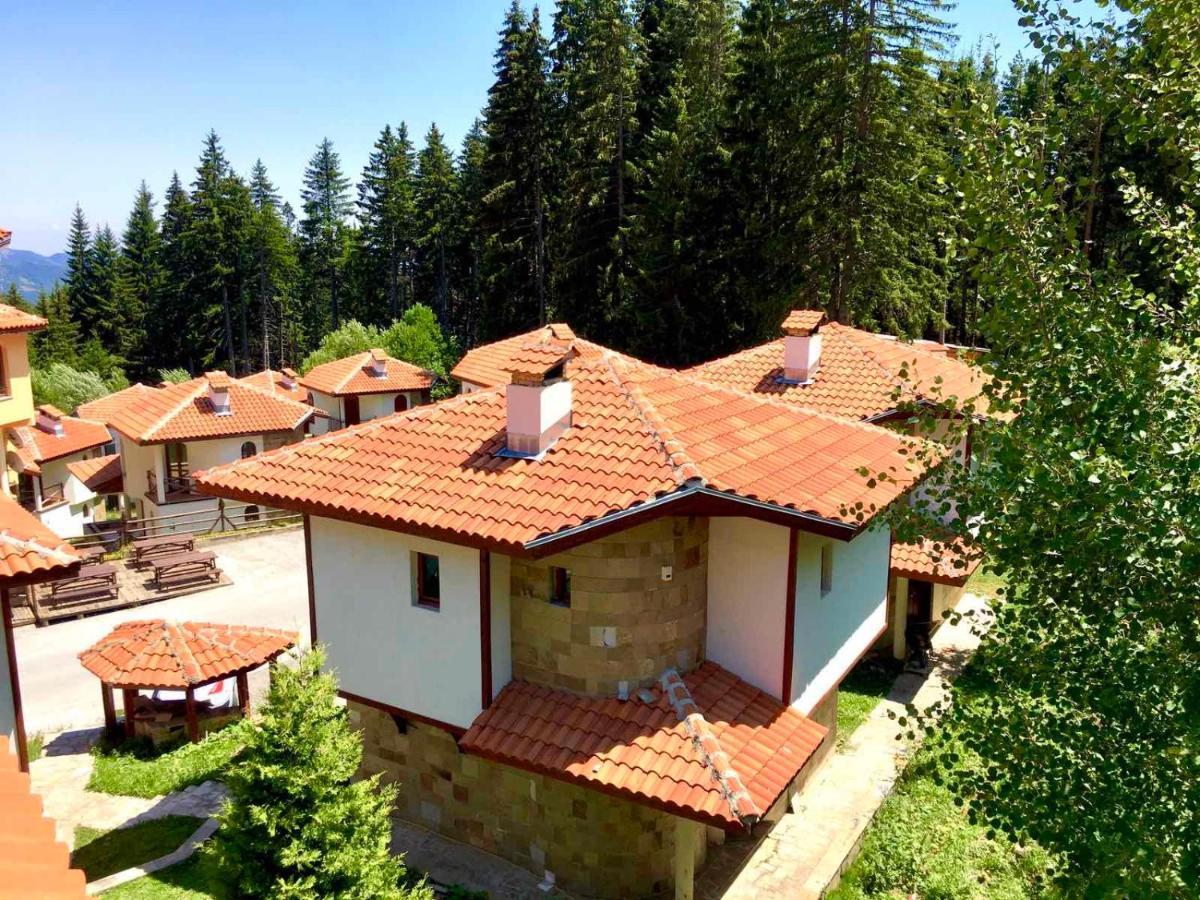 Pamporovo Villa Dış mekan fotoğraf